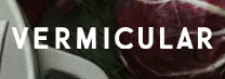 Vermicular